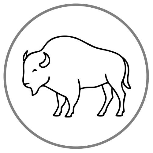 Icon of the Life Purpose and Direction discussion group