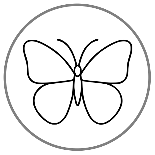 Icon of the Quarter and Mid-Life Crisis discussion group