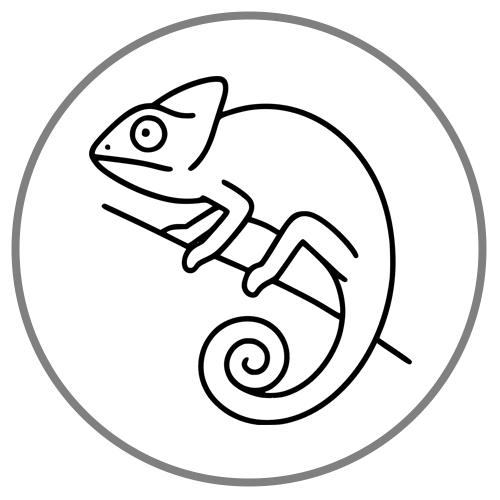 Icon of the Shadow Self discussion group