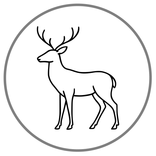 Icon of the Physical Health and Well-being discussion group